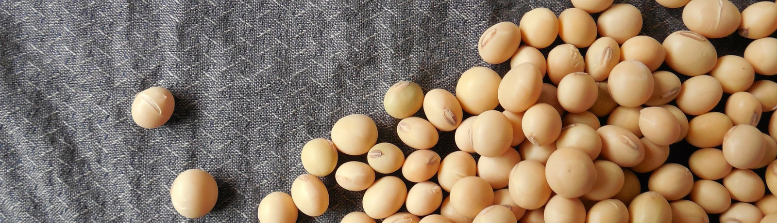 Are You Always Tired? It Could Be Your Thyroid!