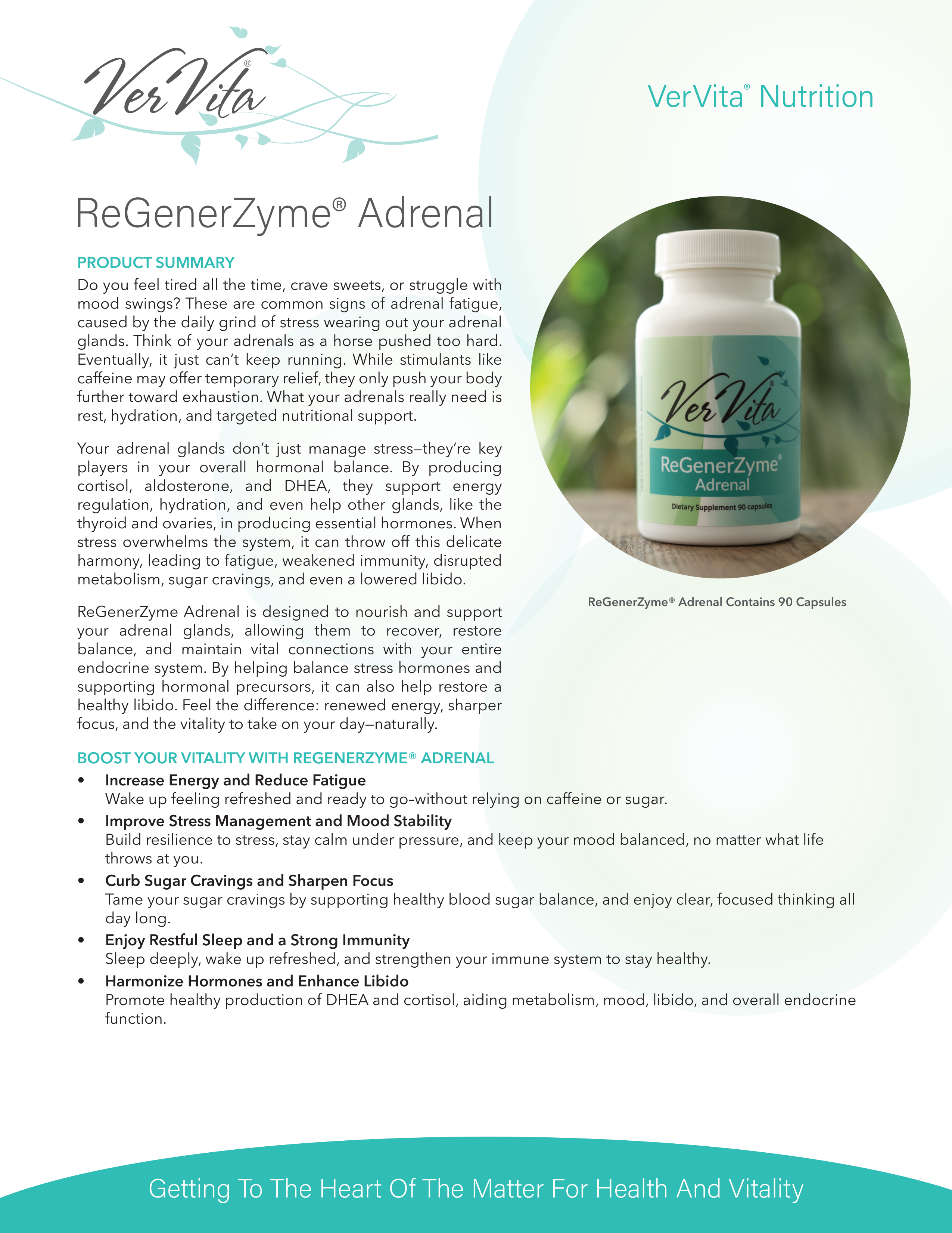 ReGenerZyme Adrenal - VerVita Products, L.L.C ReGenerZyme Adrenal - VerVita Products, L.L.C
