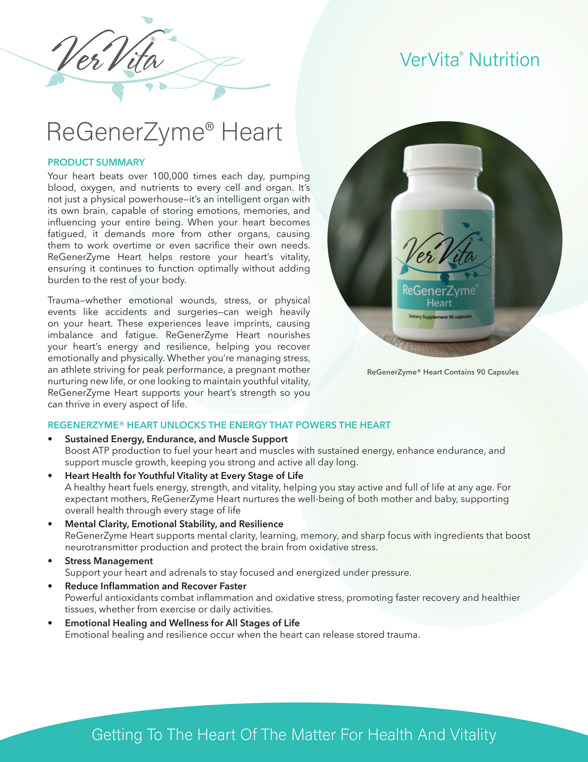 ReGenerZyme Heart
