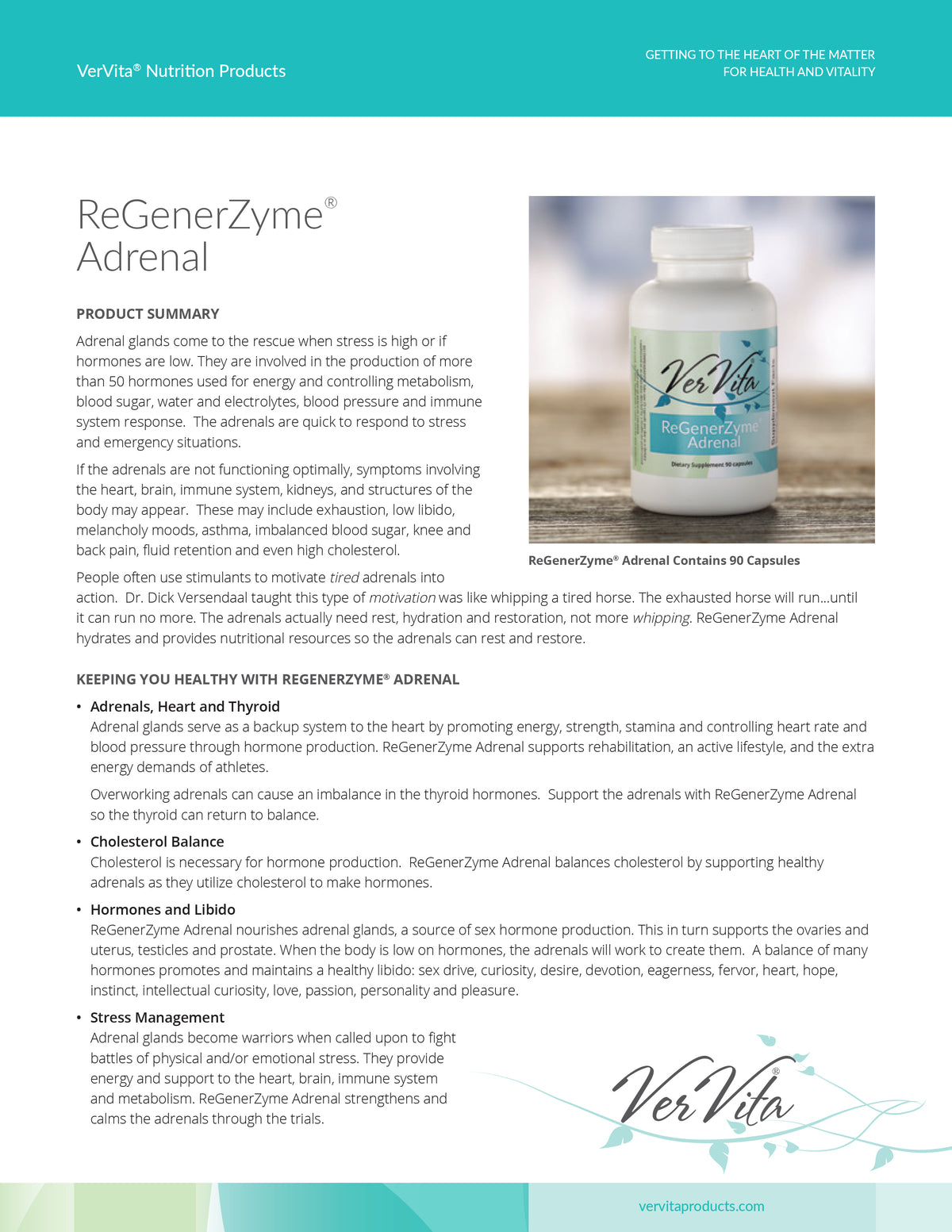 ReGenerZyme Adrenal